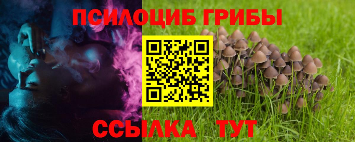 Галлюциногенные грибы Psilocybine cubensis  Вход с VPN  Тула 